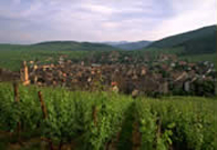 Alsace hiking