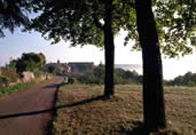 Burgundy vineyards
