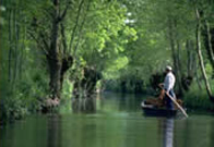 Cognac poitou biking tour