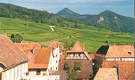 Alsace Hiking tour