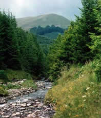 Hiking tour romania