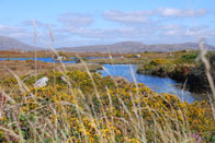 Tour biking connemara