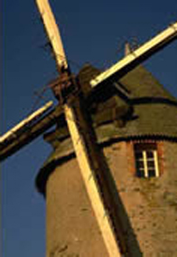 Loire gardens and vineyards tour
