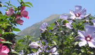 Switzerland hiking tour